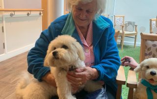 Puppy therapy at Vida Healthcare