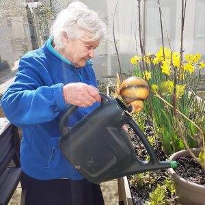 Sensory gardens at Vida Grange