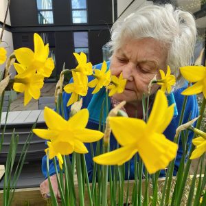 Sensory gardens at Vida Grange