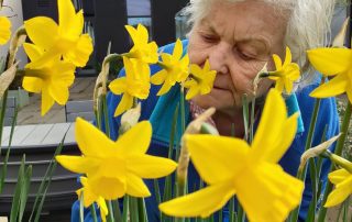 Sensory gardens at Vida Grange