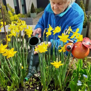 Sensory gardens at Vida Grange