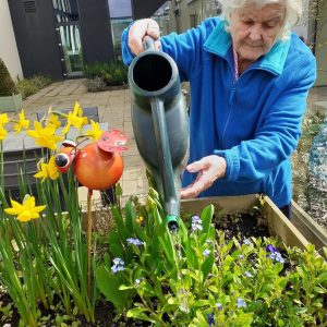Sensory gardens at Vida Grange