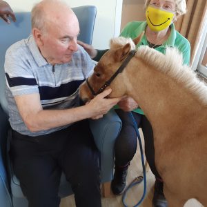 Vida Grange pony visit