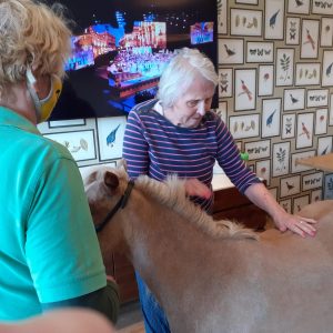 Vida Grange pony visit