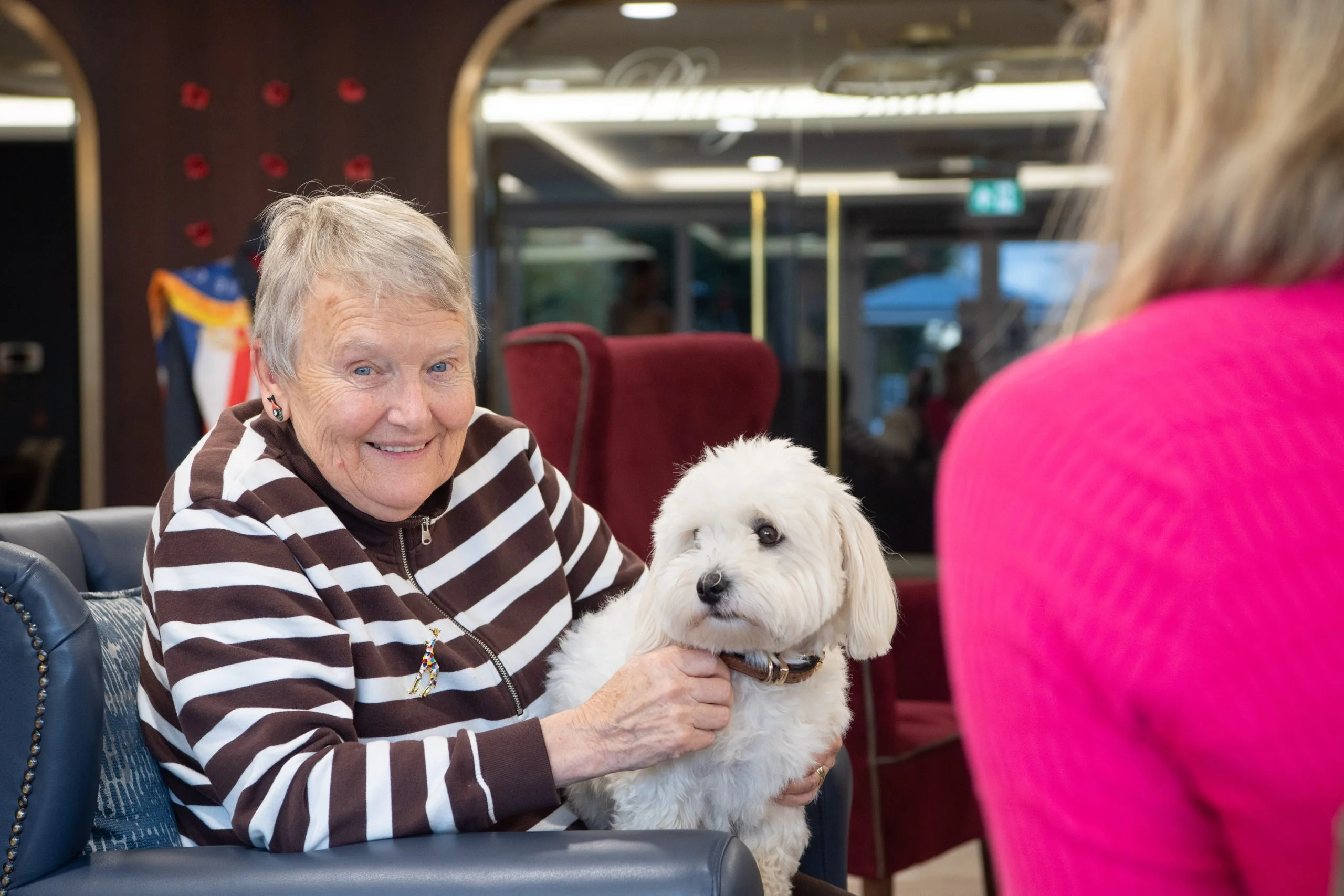 Dementia Dogs Vida Healthcare