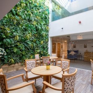 Vida Healthcare